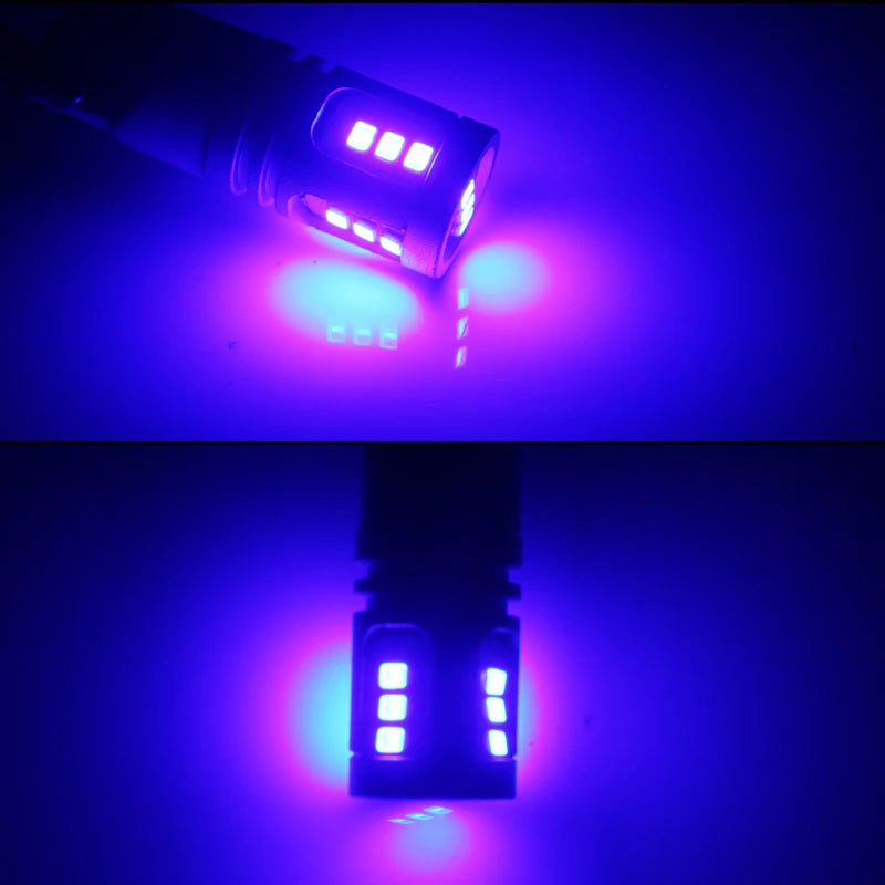 White LED Lights